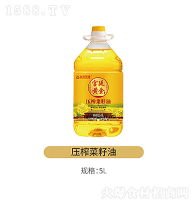  ե ʳֲ  IBʳ  {ζ 5L