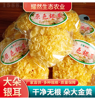  ԭɫy خa؛y ʳþ؛yl