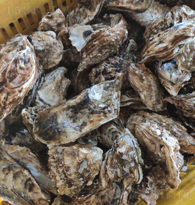 _(d)Ϡ rƷ ζ rˮa(chn)