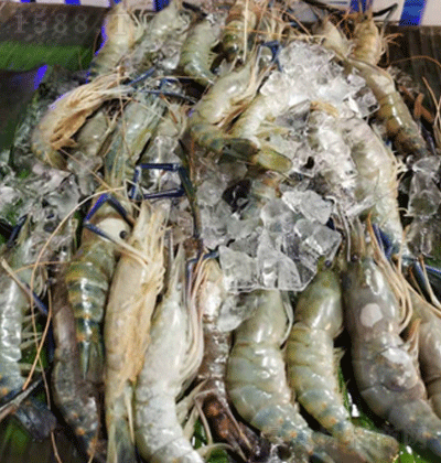 _(d)r rƷ ζ rˮa(chn)