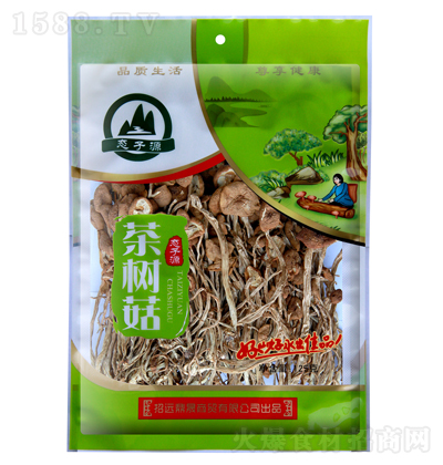 BԴ 乽 ʳԭ Č ؛ 25