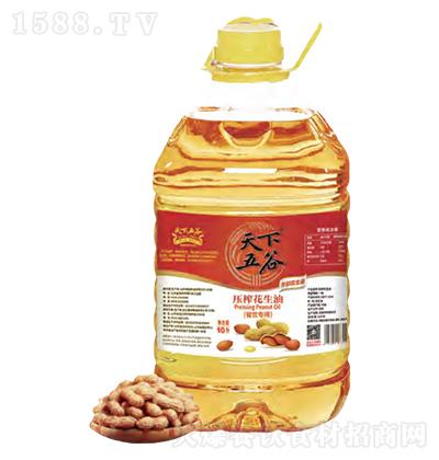 天下五谷-壓榨花生油-餐飲專用