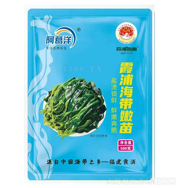 阿葛洋 霞浦海帶嫩苗500克 鹽漬鎖鮮 鮮嫩爽脆