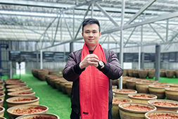 新年到,萬事欣!川西郫城食品祝您新年新歲人歡暢,年年年有余兆吉祥!